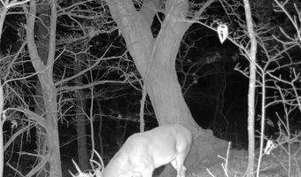 0001 E 1485 Rd, Allen, OK 74825