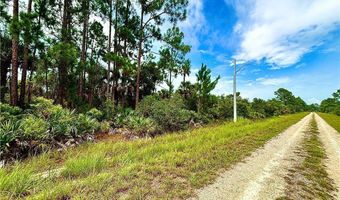4203 E 27th St, Alva, FL 33920