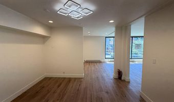 601 E Hopkins Ave 202, Aspen, CO 81611