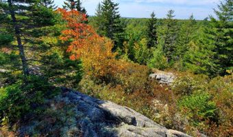 W McMann & Porcupine Hill Road lot 3, Addison, ME 04606