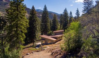 768 Kings Lake Rd, Basalt, CO 81621