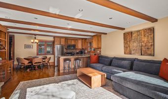 825 E Hopkins Ave 2S, Aspen, CO 81611