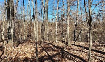 Lot 969 Iron Gate Drive, Baneberry, TN 37890