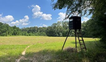TBD County Road 40, Abbeville, AL 36310