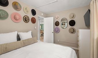 950 VINE St, Aspen, CO 81611