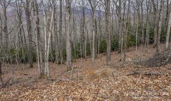 TBD Lot # 46 Woodlily Drive, Banner Elk, NC 28604