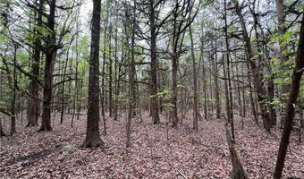 81 N Hwy, Calhoun Falls, SC 29628