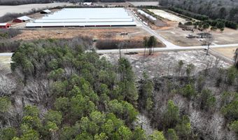 Lot 2 N UNION CHURCH RD, Ellendale, DE 19941
