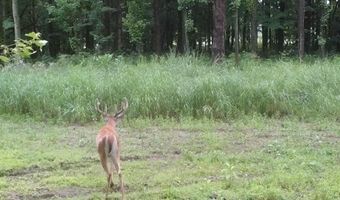 15252 27 Mile Rd, Albion, MI 49224