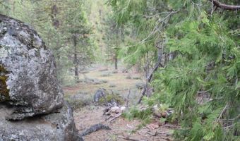 22 Whitetai Ln, Bonanza, OR 97623