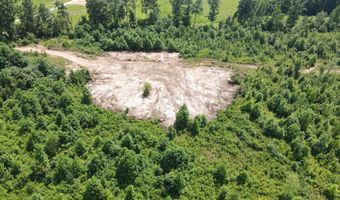 Tract 3 Tucker Rd, Bath Springs, TN 38311