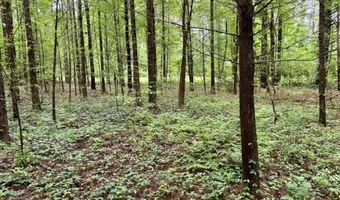 0020 Mount Carmel Rd, Bailey, MS 39320