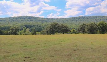 TBD County Road 966, Alpena, AR 72611