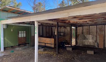 374 Fern Rd, Woodland Park, CO 80863