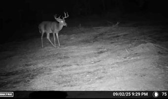 644 Ash-harrel Loop, Abbeville, GA 31001