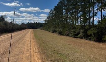1111 Mount Olive Rd SE, Bogue Chitto, MS 39629