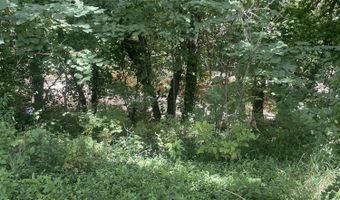 10955 State Higway 39, Aurora, MO 65605
