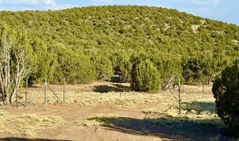 37 Co Rd N8174 10.1 Acres, Concho, AZ 85924