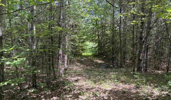 00 Simonsville Rd Lot 3, Andover, VT 05143