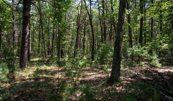 19 Th Pass Lot 132, Arkdale, WI 54613