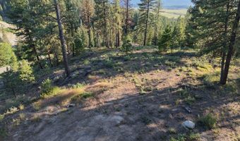 18 Tito Trl Lot 8, Cascade, ID 83611