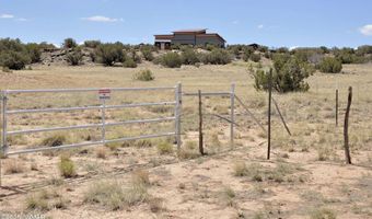 12 County Rd N8543, Concho, AZ 85924
