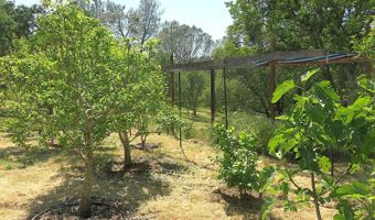 3528 Appaloosa Way, Angels Camp, CA 95222