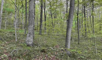 7046 S State Road 145, Birdseye, IN 47513