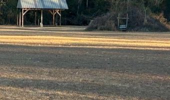 2807 Briarwood Rd, Abbeville, GA 31001