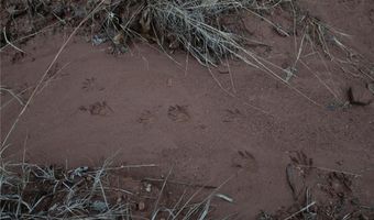 Tract 1 Acme RD, Asher, OK 74826