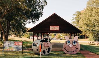 13 Piney Grove Ct, Auburn, GA 30011