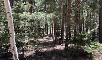 Alpine Lake Way Lot 3 Blk E, Angel Fire, NM 87710