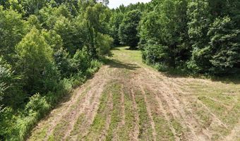Sulphur Creek Road, Big Sandy, TN 38221