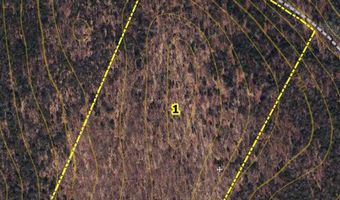 Albin Hill, Bethel, VT 05060