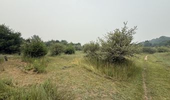 20 Acres E M-30 Hwy, Alger, MI 48610