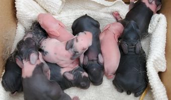 4775 S 50th Rd, Aldrich, MO 65601