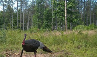 Hwy 9, Bruce, MS 38915