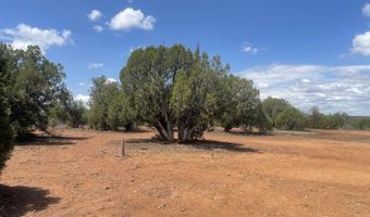 4934 Elk Trail Rd, Clay Springs, AZ 85923