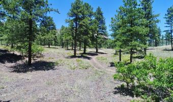 28111 County Rd 41.4, Aguilar, CO 81020