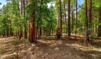 56 Co Rd 2266, Alpine, AZ 85920