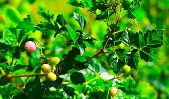 488 Rock House Rd, Bennington, OK 74723