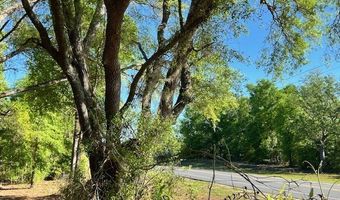 3109 US Hwy 129, Bell, FL 32619