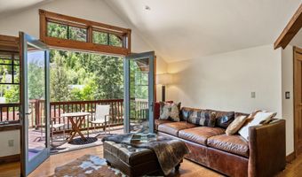 503 W Main St B202, Aspen, CO 81611