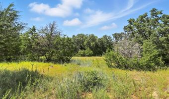 Tbd Dan Road, Alvarado, TX 76009