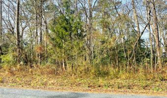 SANDPIPER LANE lot 23, Atlantic, VA 23303