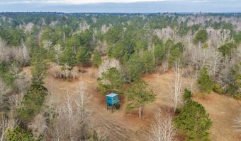 241 Foskey Cemetary Rd, Adrian, GA 31002