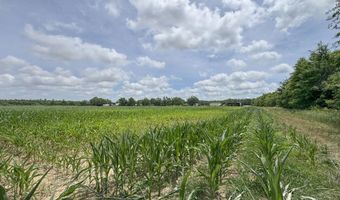 Dummyline Road, Batesville, MS 38606