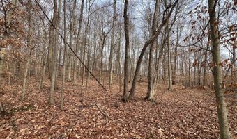 1383 HogBack Rd, Albany, KY 42602