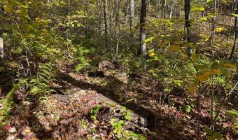 County Road 12, Akeley, MN 56433