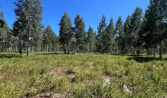 4581 Carol Ave, Cedar City, UT 84720
